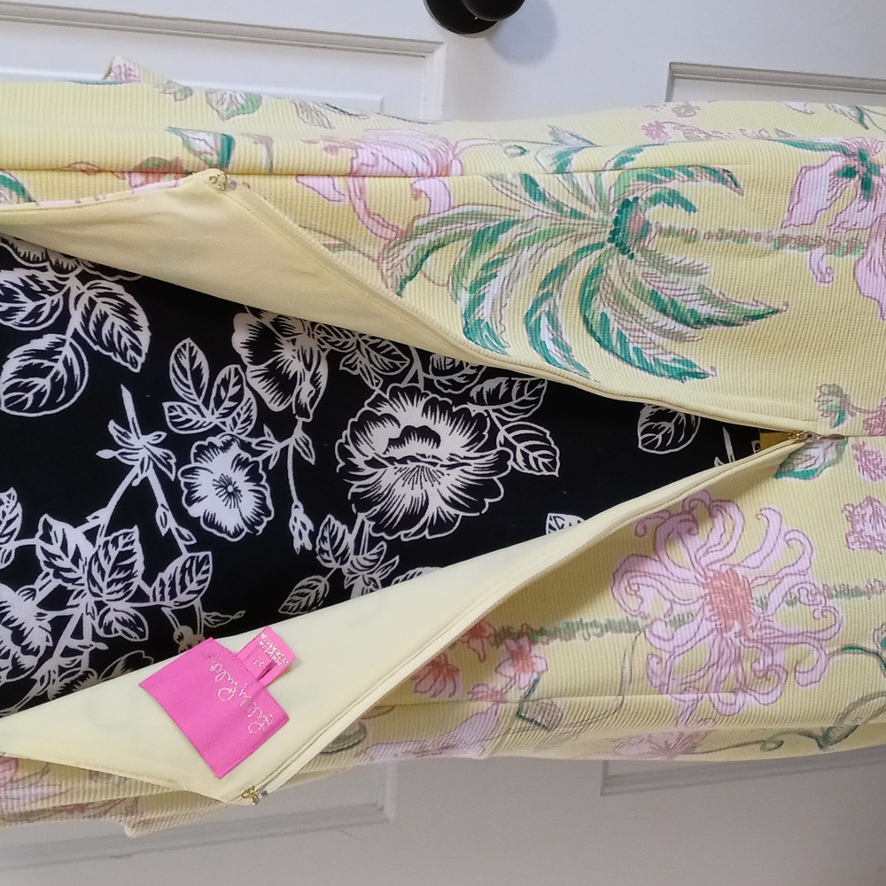 🔴SOLD🔴🐆VERY HTF Lilly Pulitzer🐆 - Del Rey Stretch Shift Dress - Picture 9 of 16